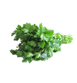 Persil PLAT frais 100g, la...