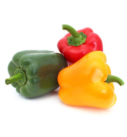 Poivrons tricolore CAGEOT...