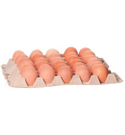 Oeufs x360 Frais, le carton