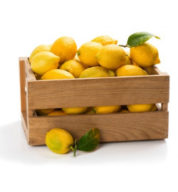 Citron Frais, le kilo