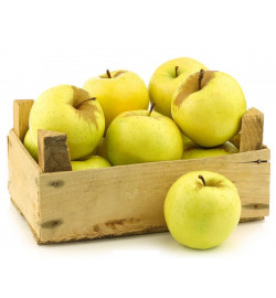 Pomme GOLDEN Frais, le kilo