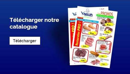 Télécharger notre catalogue